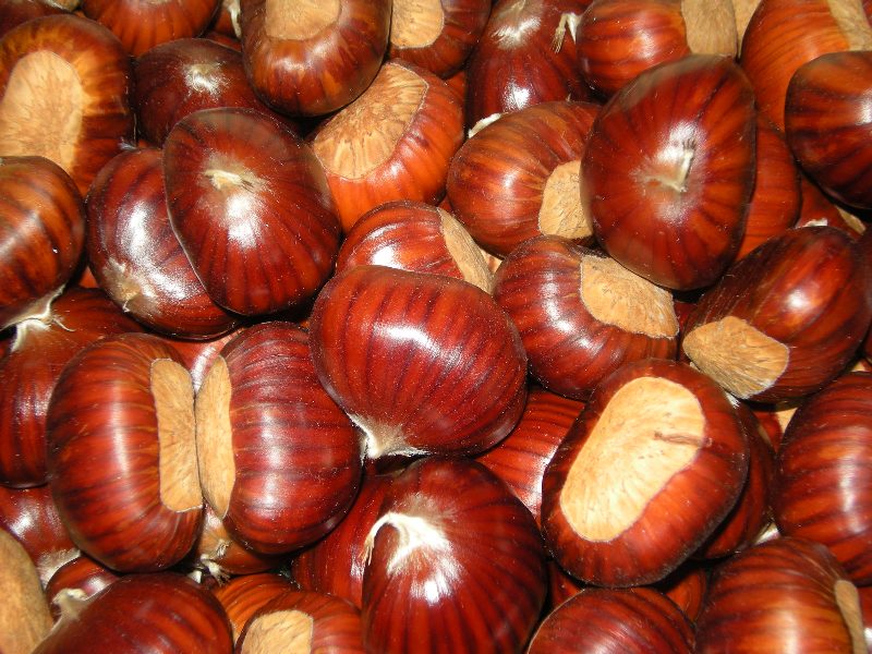 Castagne italia misura piccola